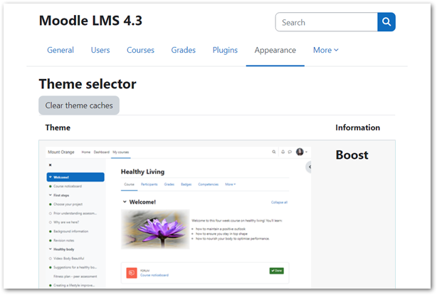 Early Moodle LMS 4.3 Compatible Themes Have Arrived!